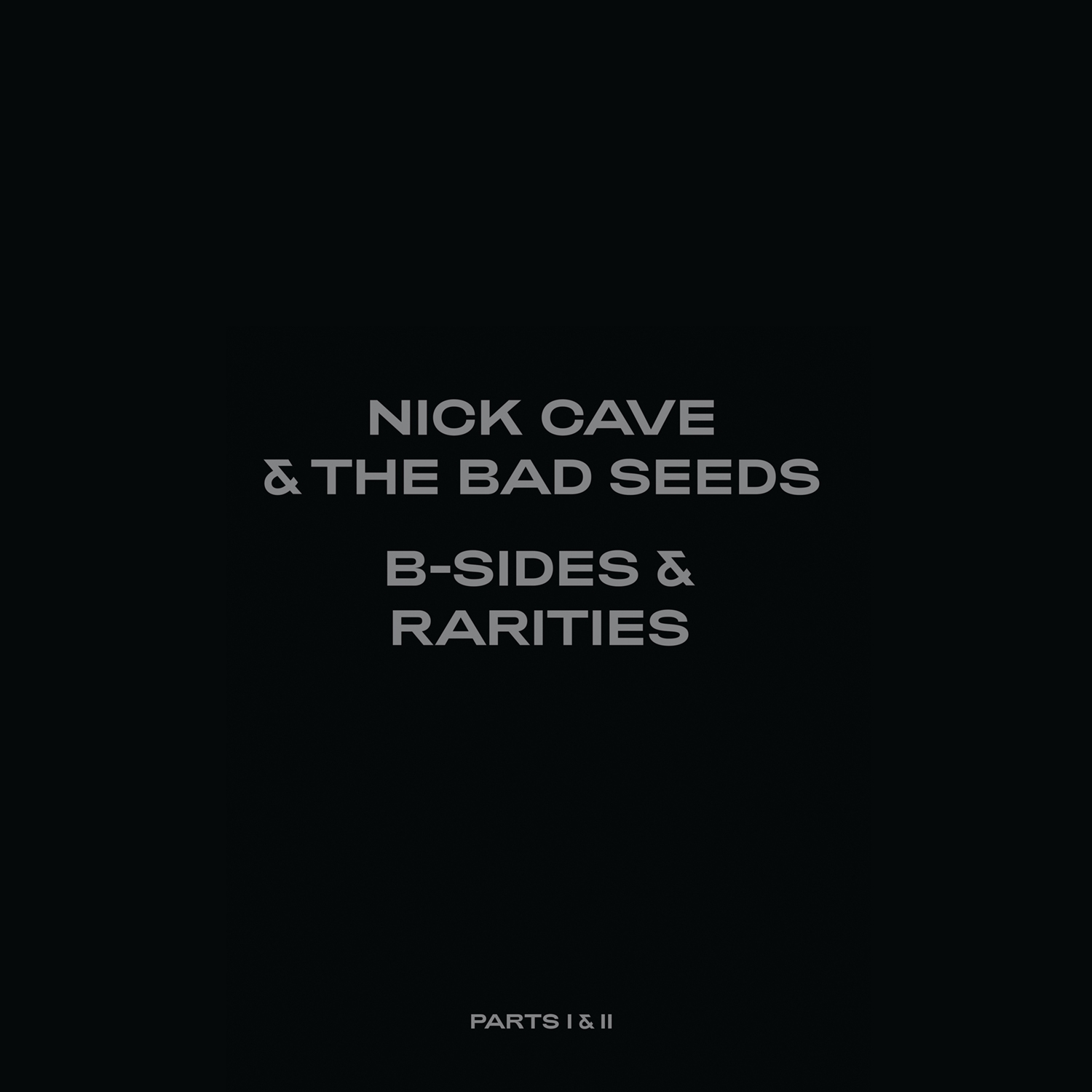 Nick Cave&The Bad Seeds ニックケイブ＆バッドシーズ / B-sides